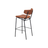 Sharon Barstool  - set of 2