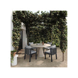 Nancy Grey Outdoor Dining Chair