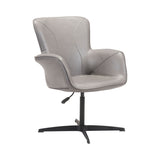 Alain Arm Chair Gray