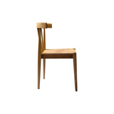 Day Dining Chair