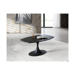 Amarosa Coffee Table