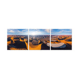 J&M Premium Acrylic Wall Art - Desert