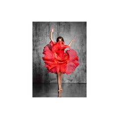 J&M Premium Acrylic Wall Art - Red Dancer