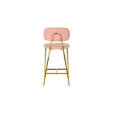 Ariana Blush Counter Stool - Set of 2